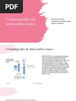 Cromatografía Con Intercambio Iónico 1