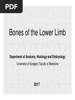 06 Bones of Lower Limb