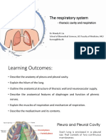 BBMS2004 L13 Respiratory System - Thoracic Cavity and Respiration 2022