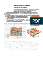 Membrana Plasmatica