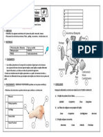 2do Sec Pract Lab Biologia