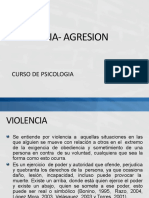 Violencia-Agresion Psicologia