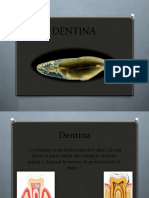 Dentina