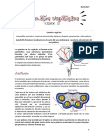 Tema 2 Histología