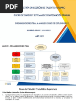 Organizaciones Teal y Análisis Caso de Estudio 2022