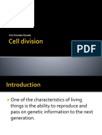 5.cell Division