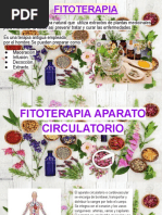 Fitoterapia Por Aparatos y Sistemas