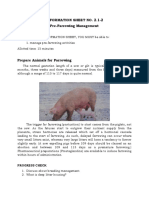 Pre-Farrowing Activities