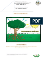 Ciências Da Natureza: Fotossíntese