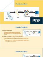 eSIM Protein Synthesis