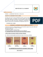 SVT 2nd C - L9 - La Division Cellulaire