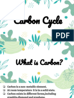 Carbon Cycle