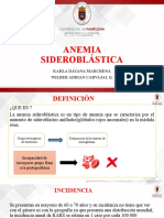 Anemia Sideroblastica Completa