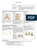 Mitosis y Meiosis para Cuarto de ESO