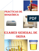 Examen de Orina 2022