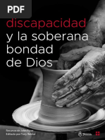 La-Discapacidad SBD