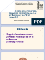 3.-Embarazo Fisiologico-Diagnóstico de Embarazo