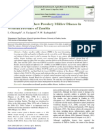 Prevalence of Cashew Powdery Mildew Disease in Western Province of Zambia