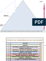 Niveles de Complejidad de Las Capacidades