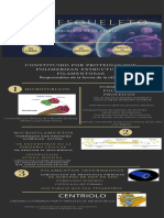 Infografia Citoesqueleto