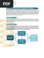 Historia de La Banca en Liquidacion y Quiebra