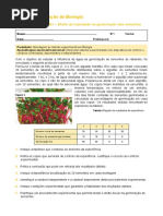 Odis10 Ficha Ampliacao b1