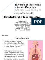 Cavidad Oral y Tubo Digestivo