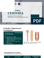 Cestoda