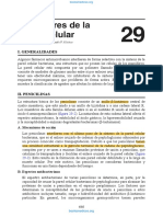 Inhibidores de La Pared Celular LIR