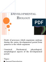 Developmental Biology