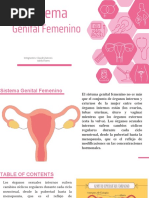 Sistema Genital Femenino