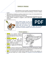 Cancer de Pancreas