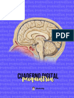 (N) Psiquiatría (Cuaderno)