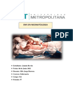 Riesgos en El Embarazo y Toxoplasmosis