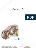 Fistula Preauricular