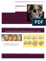 Crecimiento y Desarrollo de La Oclusión