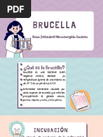 Brucella