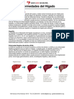 SPANISH Updated Fact Sheet Liver Disease