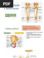 Extremidades Inferiores