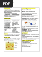 Body Tissues