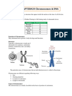 2nd Year Biology CH-20 Notes