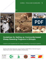 Guidelines For Sheep Breeding-2