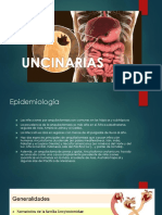 Uncinarias y Strongyloides