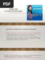 Derecho Consuetudinario