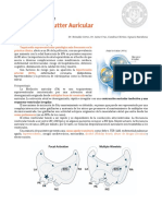 ECG 6 - Fibrilación y Flutter Auricular (Texto)