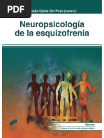 Natalia Ojeda Del Pozo - Neuropsicología de La Esquizofrenia - Libro Dinámico