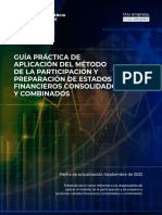 Guía Práctica de Aplicación Del MPP EF Consolidados y Combinados