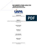 Semana 2 Terapia Cognitiva Conductual UAPA