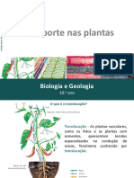 BG10 27 Transporte Plantas 2021