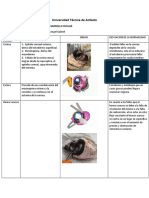 Sistema Ocular